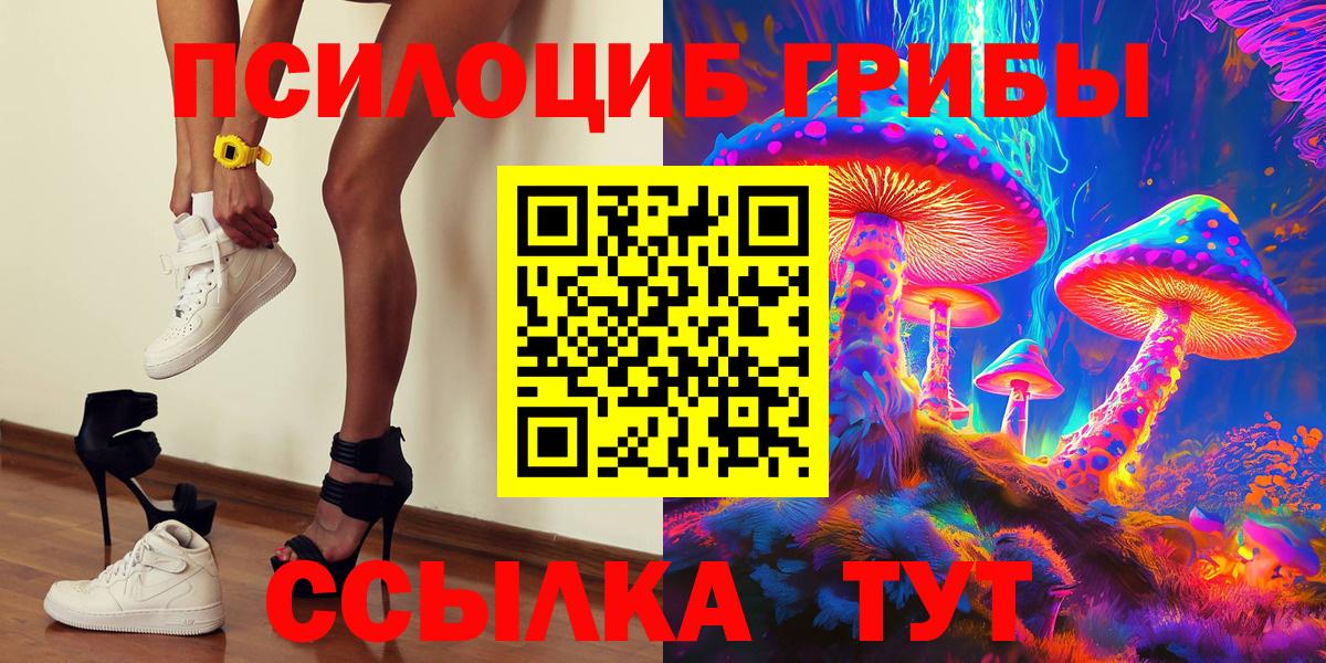 Галлюциногенные грибы Psilocybine cubensis Фрязино