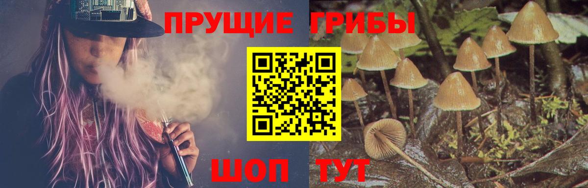Фрязино  Псилоцибиновые грибы Psilocybine cubensis  Вход с VPN 